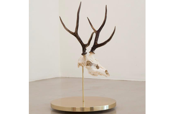 Photo_2