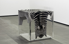 Thiago_honorio_ito-21_edouard_fraipont