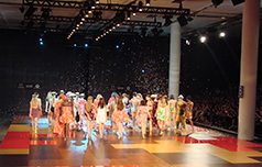 Capaneon2008